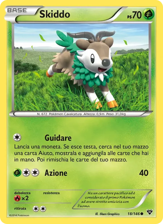 Skiddo 18 – XY