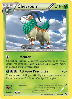 Chevroum n° 19 – XY