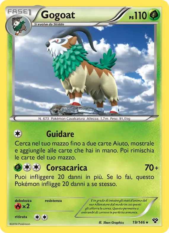 Gogoat 19 – XY