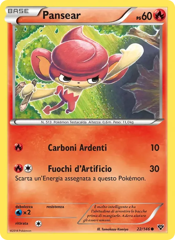 Pansear 22 – XY