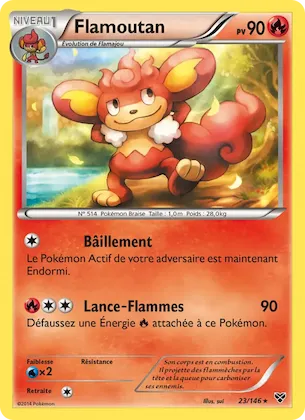Flamoutan n° 23 – XY
