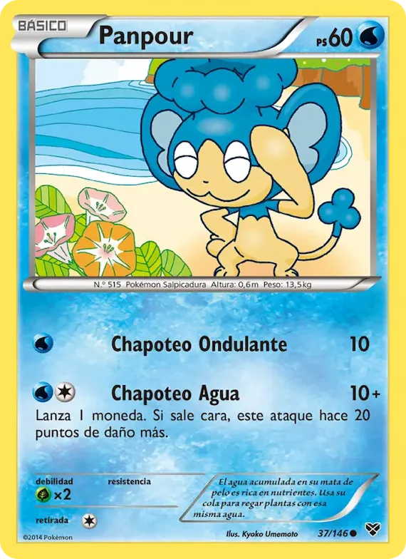 Panpour 37 – XY