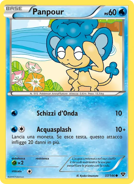 Panpour 37 – XY