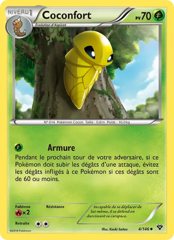 Coconfort 4 – XY