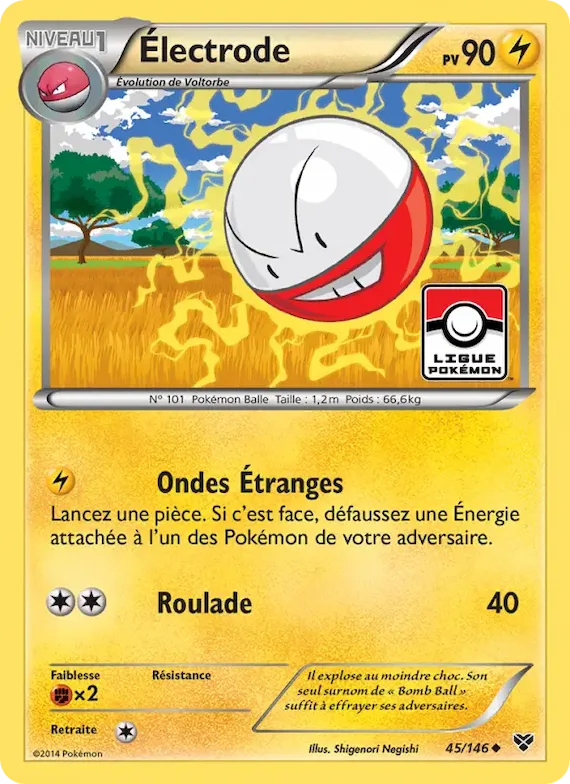 Électrode 45 – XY