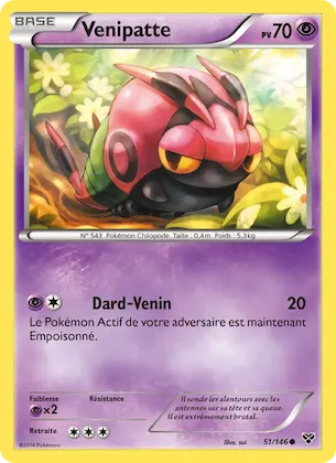 Venipatte n° 51 – XY