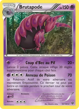 Brutapode n° 53 – XY