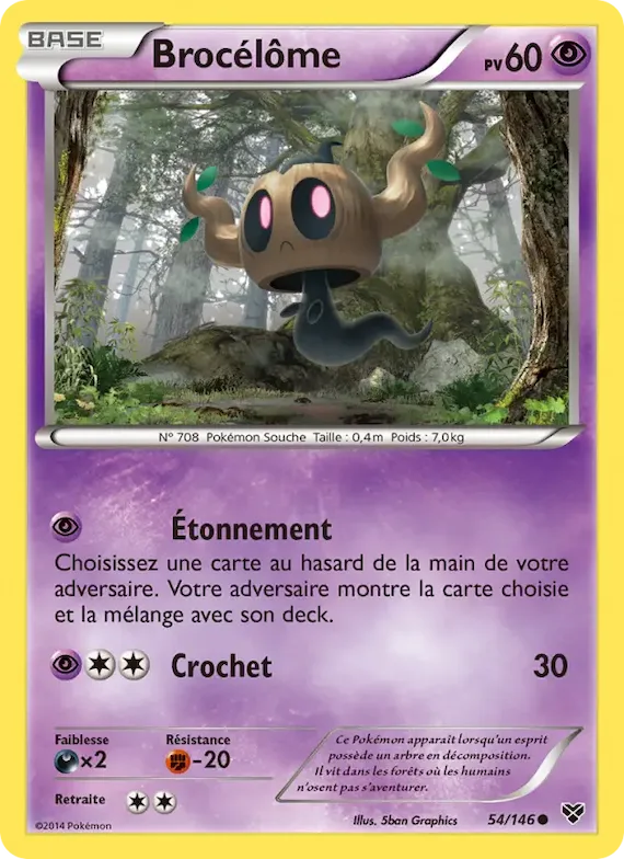 Brocélôme 54 – XY