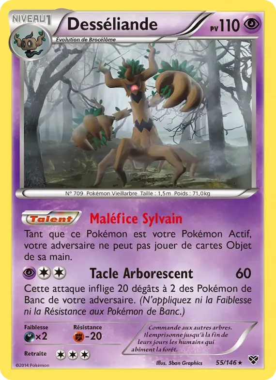 Desséliande 55 – XY