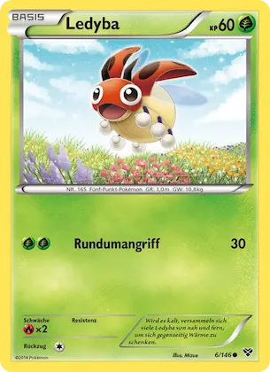 Ledyba Nr. 6 – XY