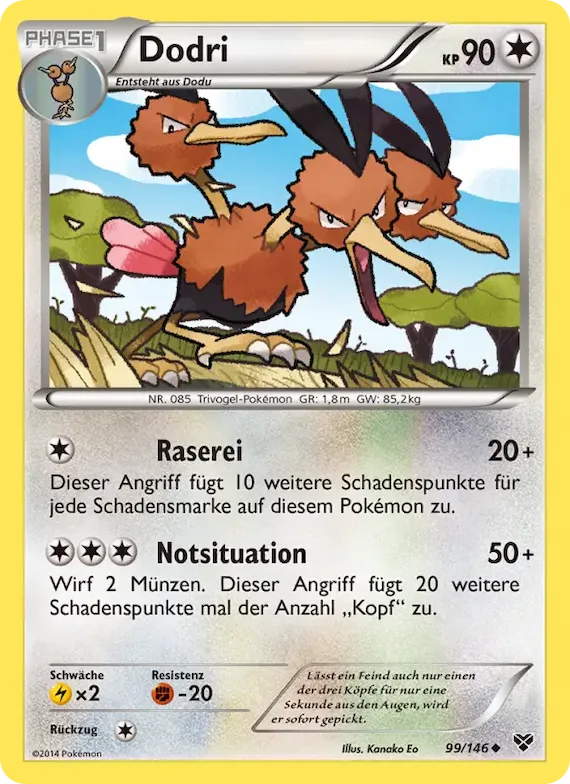 Dodri 99 – XY