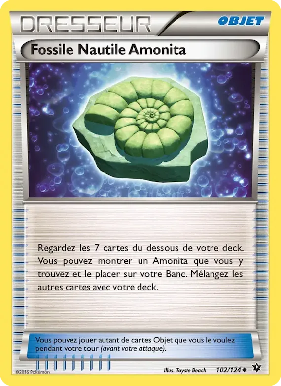Fossile Nautile Amonita 102 – Impact des Destins