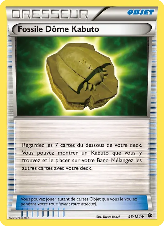Fossile Dôme Kabuto 96 – Impact des Destins
