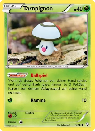 Tarnpignon Nr. 12 – Steam Siege