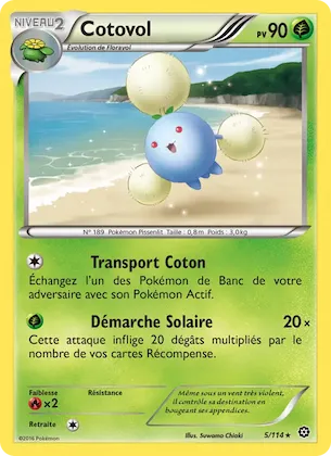 Cotovol n° 5 – Offensive Vapeur