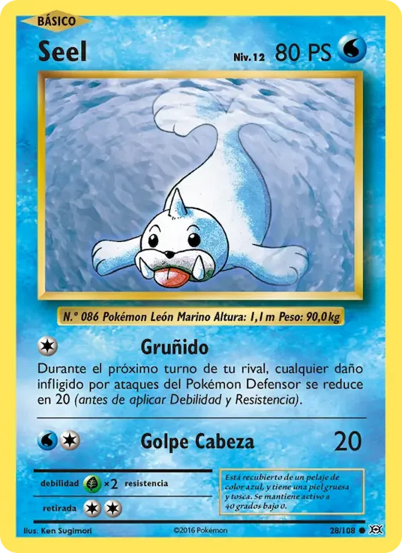 Seel 28 – Evoluciones