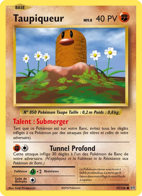 Taupiqueur 55 – Évolutions
