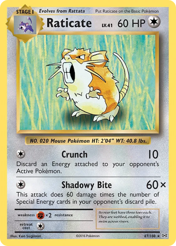 Raticate 67 – Evoluções