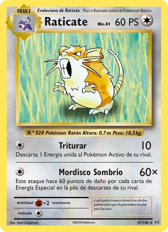 Raticate 67 – Evoluciones