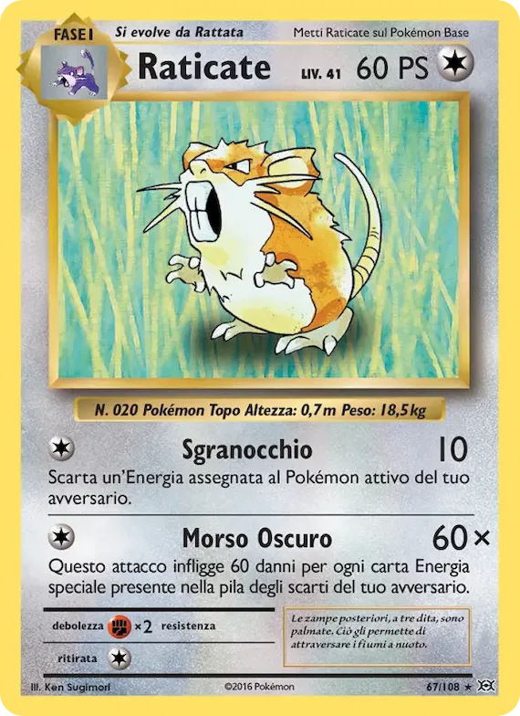 Raticate 67 – Evoluzioni