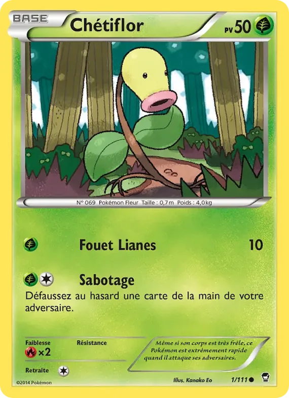 Chétiflor 1 – Poings Furieux