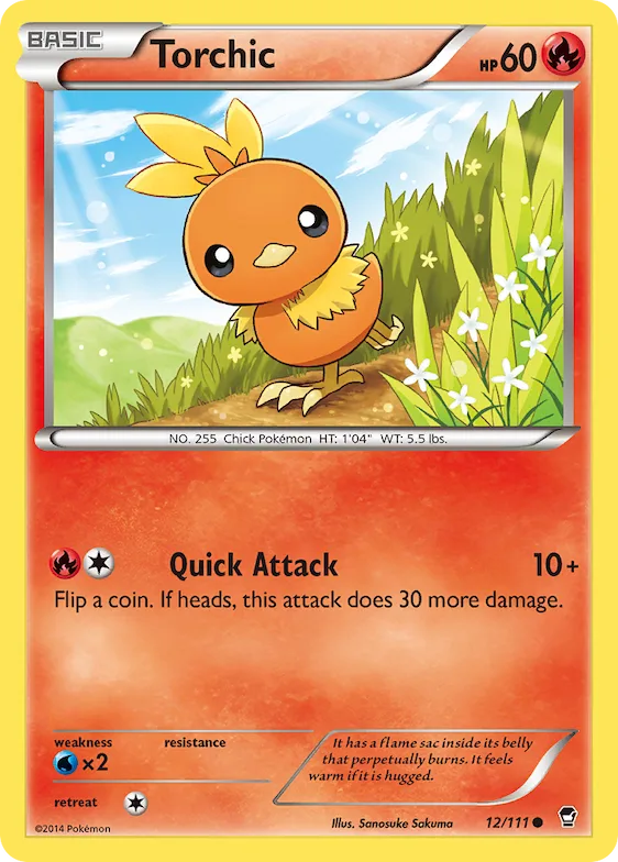 Torchic 12 – Punhos Furiosos
