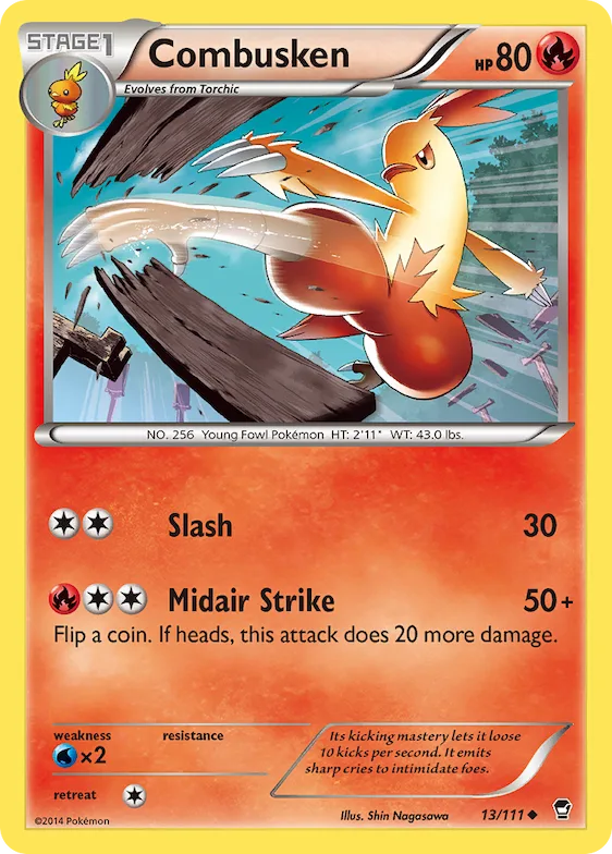 Combusken 13 – Punhos Furiosos