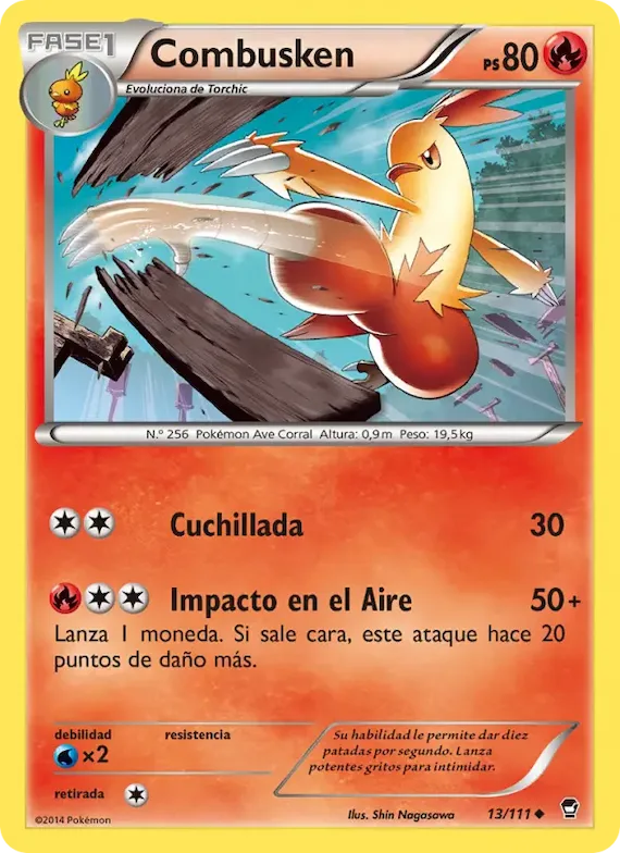 Combusken 13 – Puños Furiosos