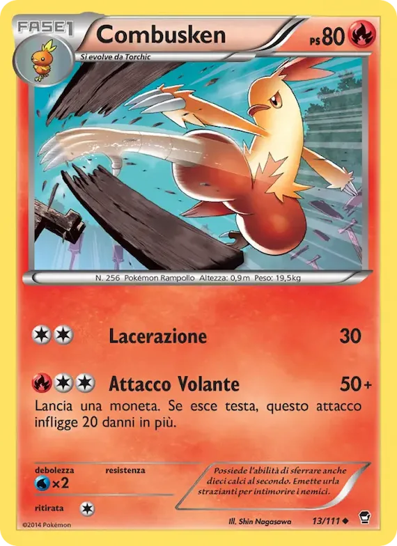 Combusken 13 – Colpi Furiosi