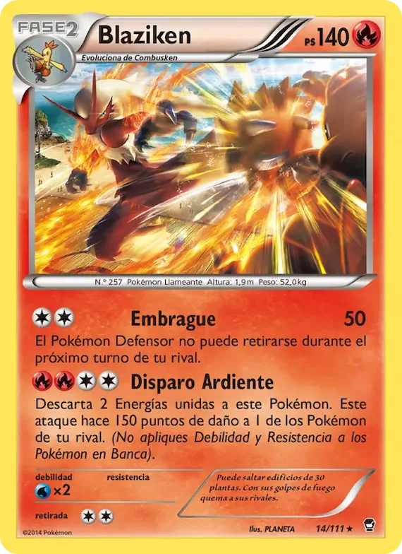 Blaziken 14 – Puños Furiosos
