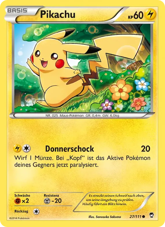 Pikachu 27 – Fliegende Fäuste