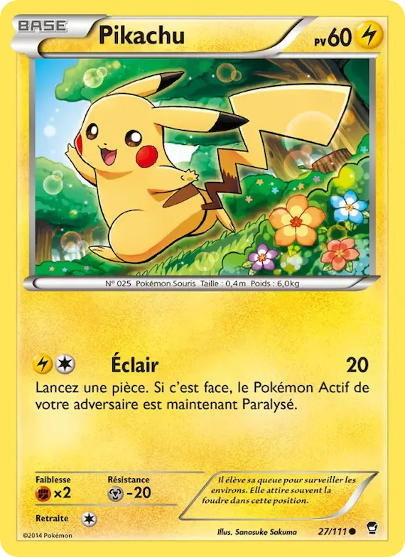 Pikachu 27 – Poings Furieux