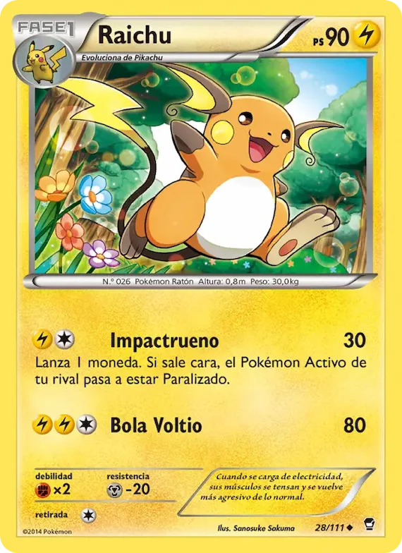 Raichu 28 – Puños Furiosos