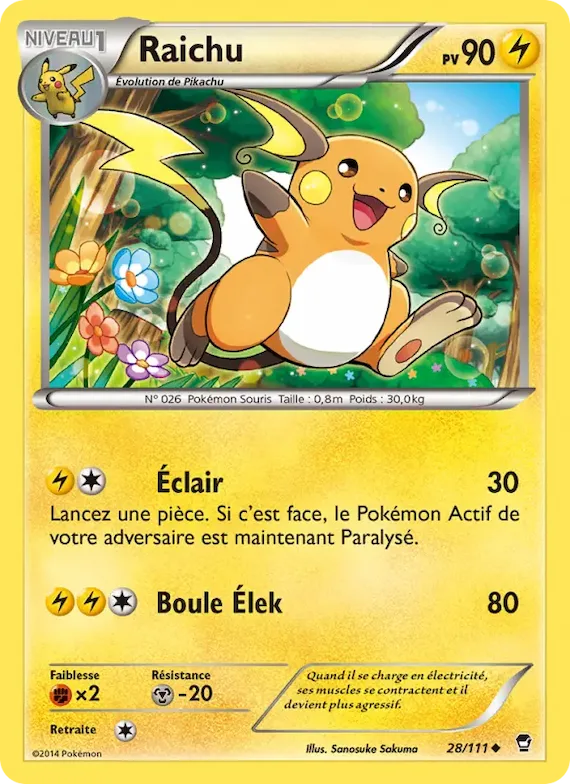 Raichu 28 – Poings Furieux