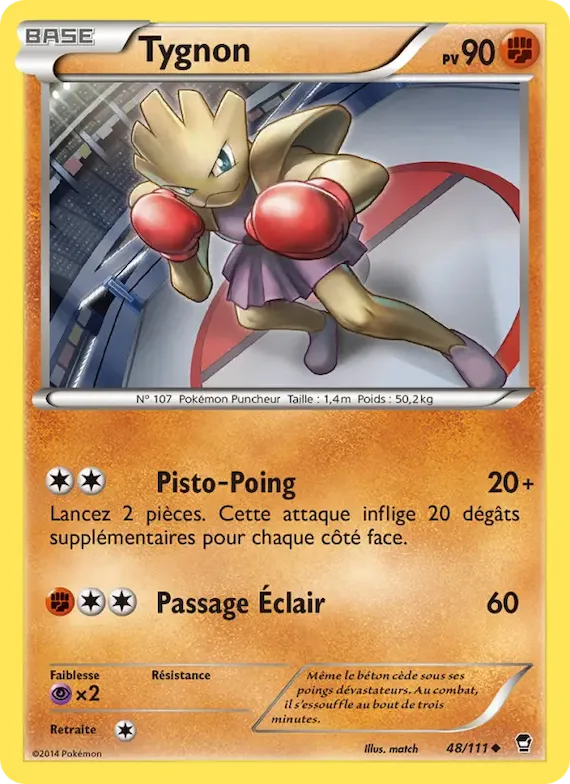 Tygnon 48 – Poings Furieux
