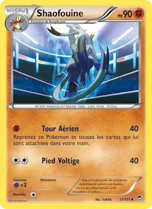 Shaofouine n° 57 – Poings Furieux