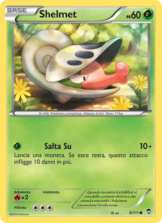 Shelmet 8 – Colpi Furiosi