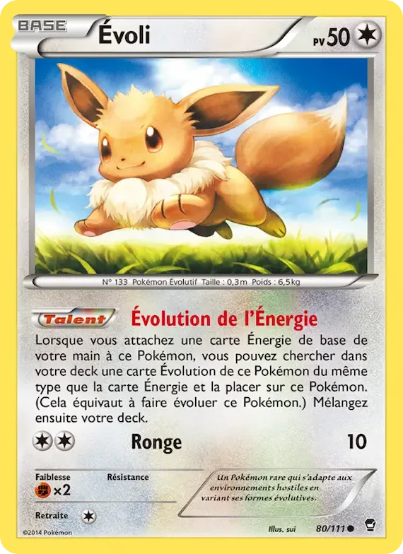Évoli 80 – Poings Furieux