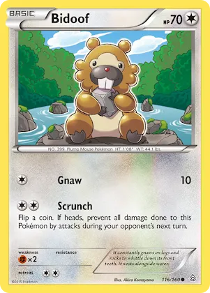 Bidoof #116 – Primal Clash