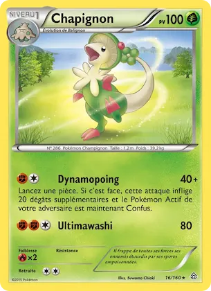 Chapignon n° 16 – Primo-Choc