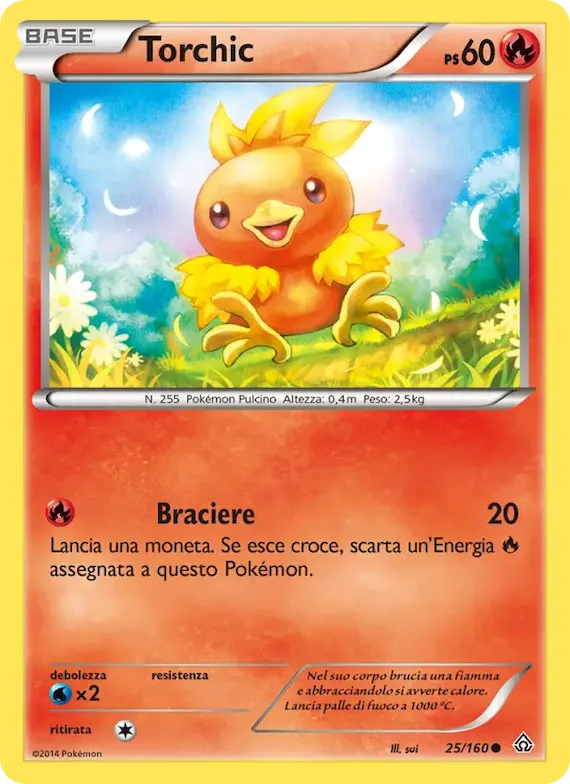 Torchic 25 – Scontro Primordiale