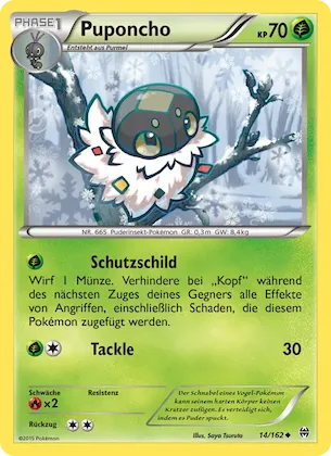 Puponcho Nr. 14 – BREAKthrough