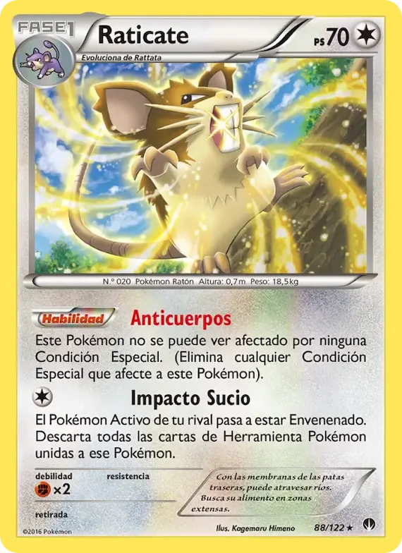 Raticate 88 – TURBOLímite