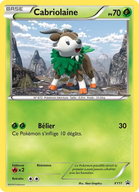 Cabriolaine XY11 – Promo XY