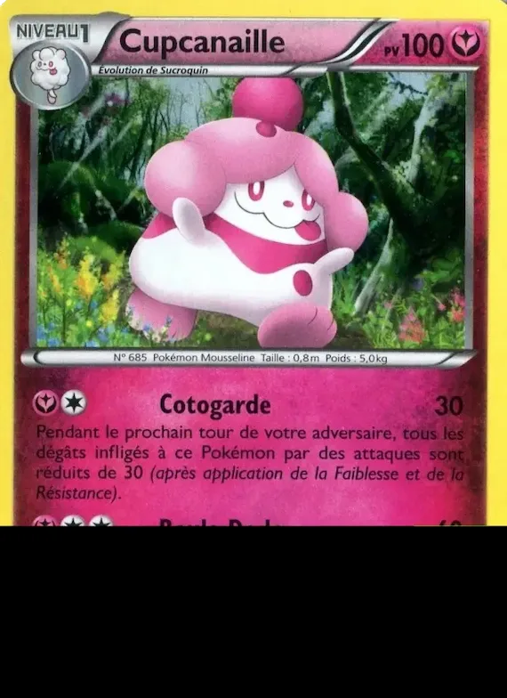 Cupcanaille XY15 – Promo XY