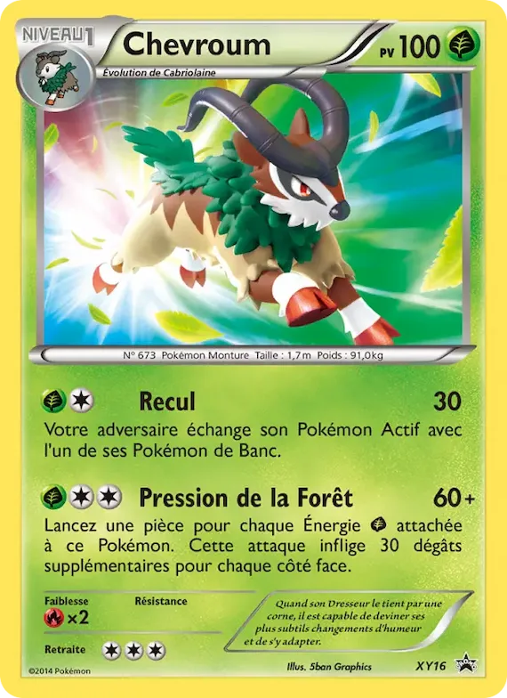 Chevroum XY16 – Promo XY