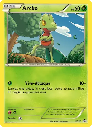 Arcko n° XY36 – Promo XY