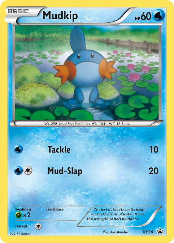 Mudkip #XY38 – XY Promos