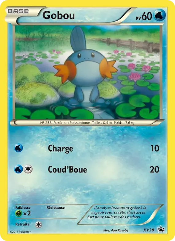 Gobou XY38 – Promo XY