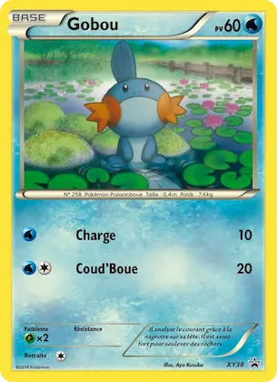 Gobou n° XY38 – Promo XY